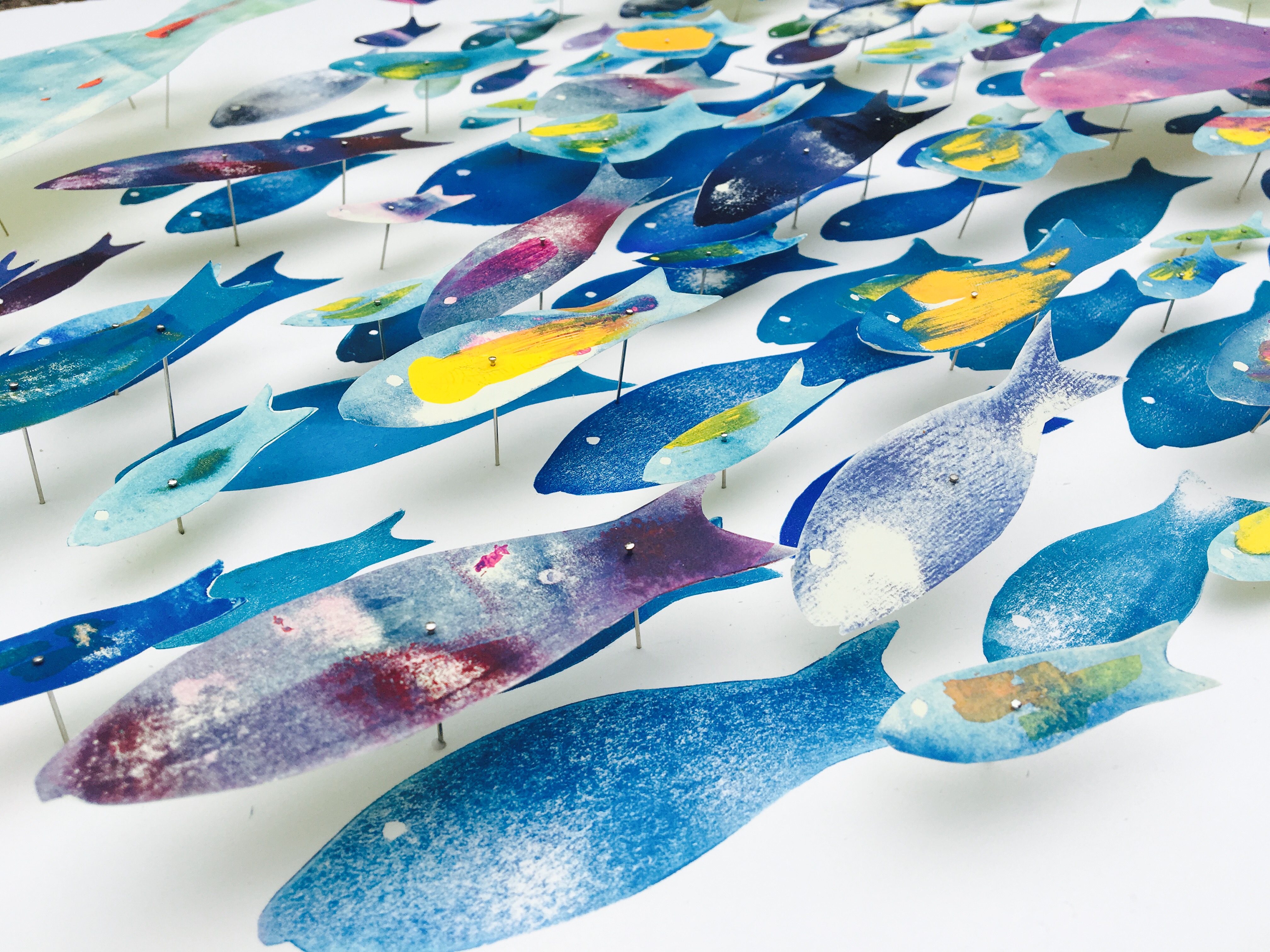 36743245530_91bd7d6023_o