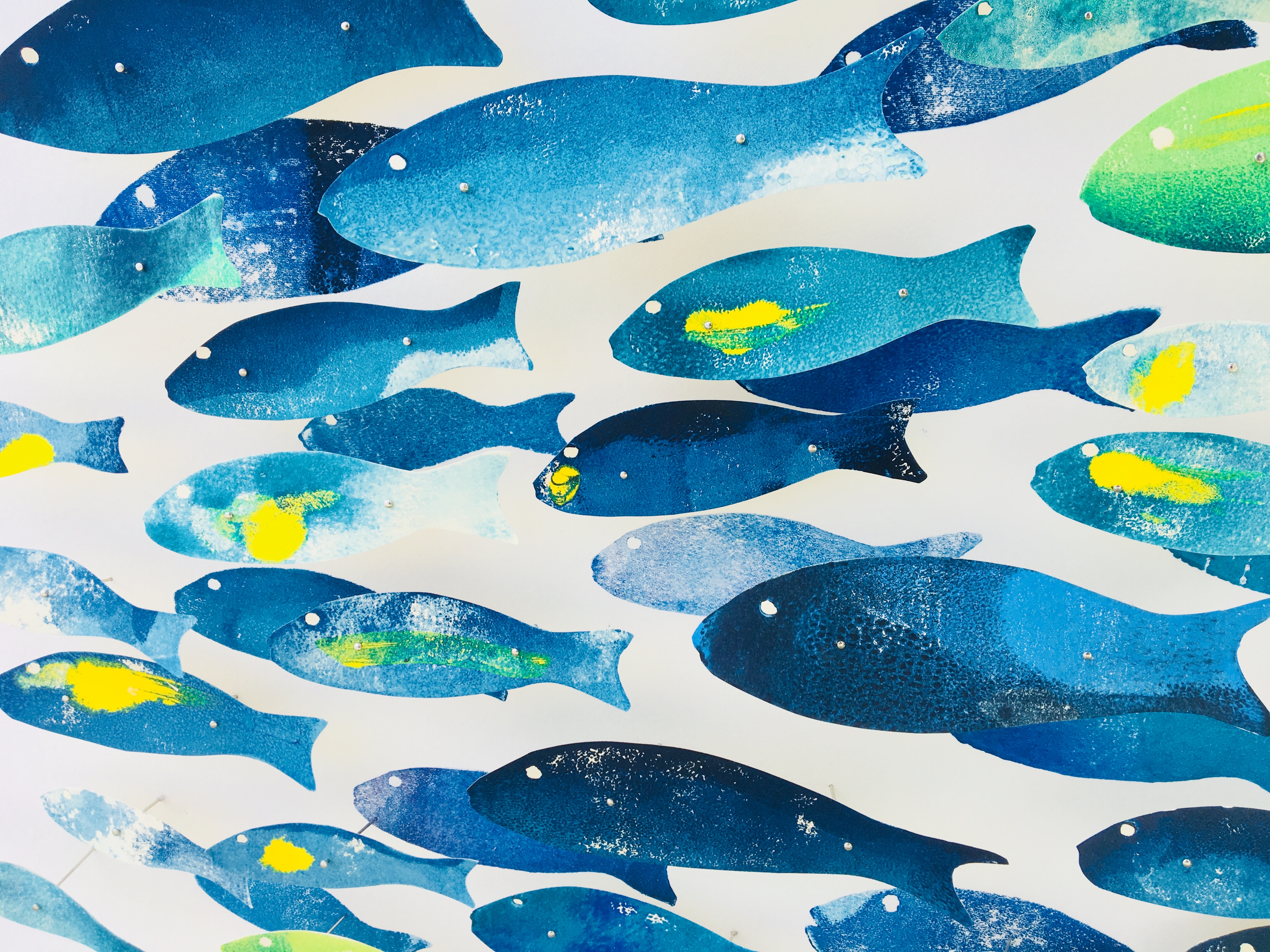 44768748174_5fe0abd4c6_o